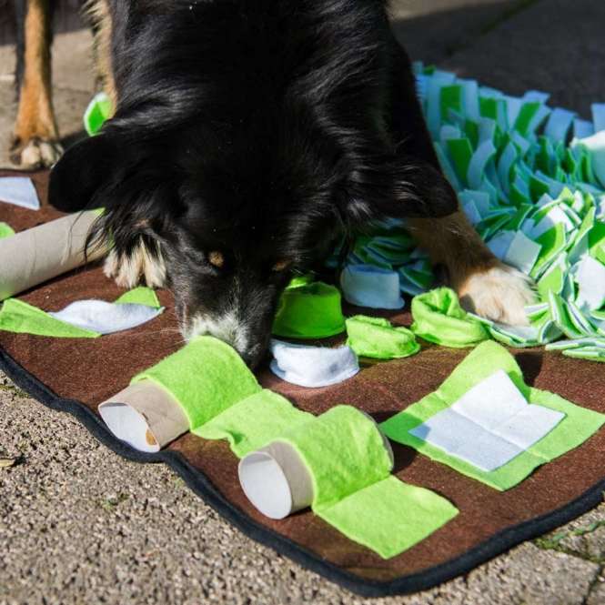 Sniffer DOGTRAINING „Intelligenzschnüffelmatte für artgerechte Auslastung" der Schnüffelspaß von PROCYON