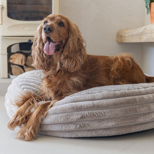 Karlie PREMIUM Hundebett "Reza rund" Beige oder Rosa designed by Lotte – stilvoller Liegekomfort für anspruchsvolle Hunde