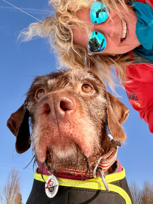 Die erstaunliche Macht der Hundenase - Suchhunde unsere stillen Helden