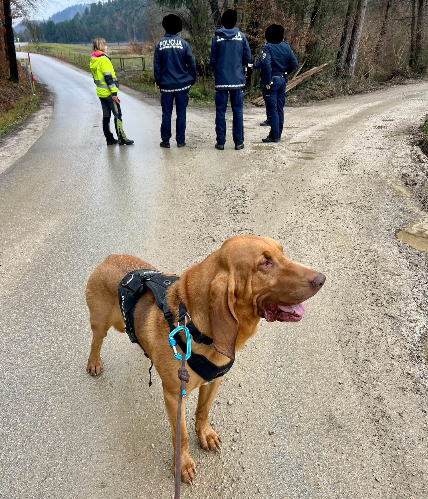 K9 Hundezubehör