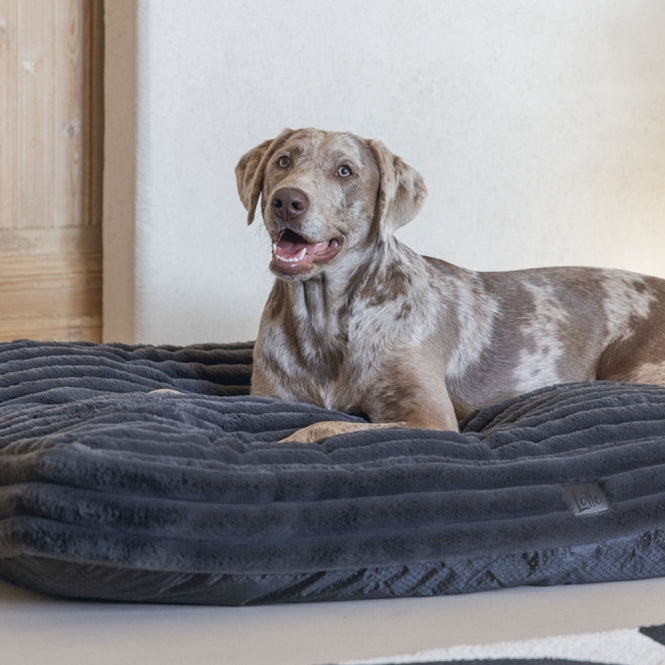 Karlie PREMIUM Hundekissen "Reza viereckig" in Rosa, Beige oder Anthrazit designed by Lotte – stilvoller Liegekomfort für anspruchsvolle Hunde