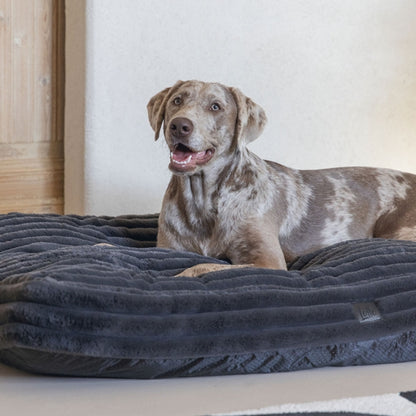 Karlie PREMIUM Hundekissen "Reza viereckig" in Rosa, Beige oder Anthrazit designed by Lotte – stilvoller Liegekomfort für anspruchsvolle Hunde