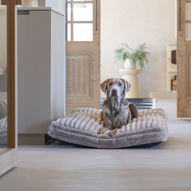 Karlie PREMIUM Hundekissen "Reza viereckig" in Rosa, Beige oder Anthrazit designed by Lotte – stilvoller Liegekomfort für anspruchsvolle Hunde