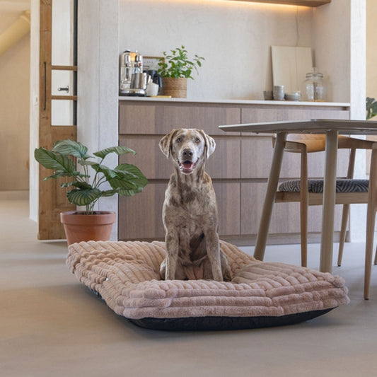 Karlie PREMIUM Hundekissen "Reza viereckig" in Rosa, Beige oder Anthrazit designed by Lotte – stilvoller Liegekomfort für anspruchsvolle Hunde