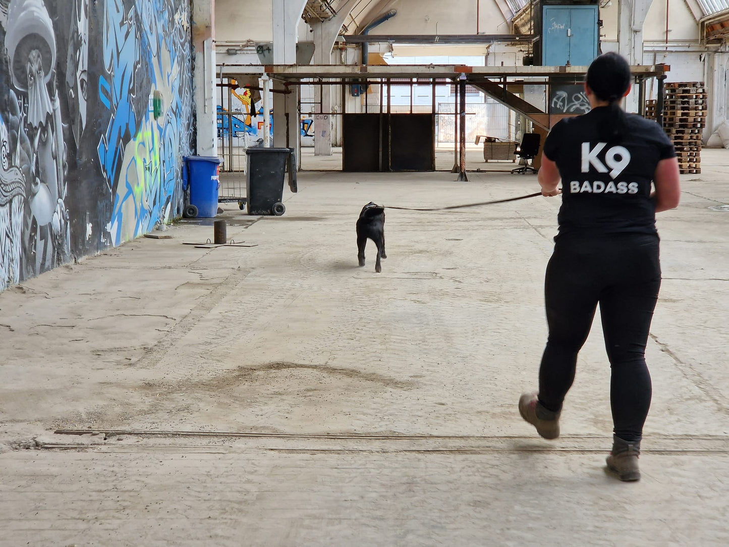 K9 Online-Intensivkurs: "Trail Upgrade - Persönliche Weiterentwicklung für Hundeführer"