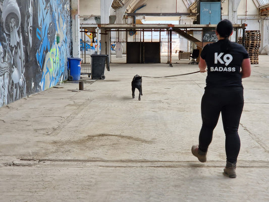 K9 Online-Intensivkurs: "Trail Upgrade - Persönliche Weiterentwicklung für Hundeführer"
