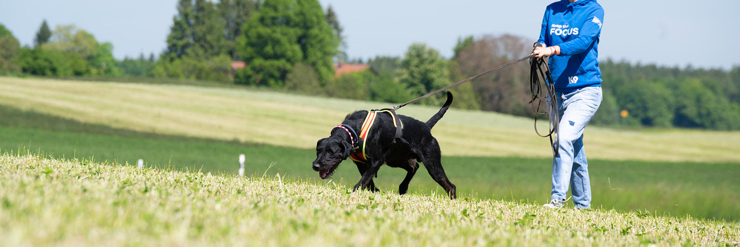 K9 Online-Intensivkurs: "Souverän im Mantrailing - den unsicheren Hund verstehen und richtig führen"
